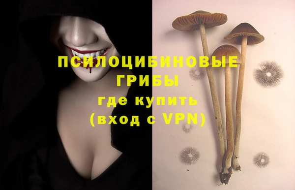 spice Балахна