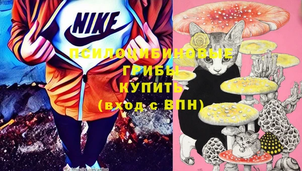 2c-b Киров