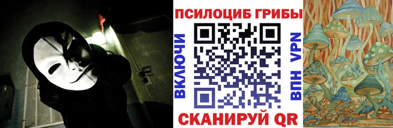 Галлюциногенные грибы Psilocybe hydra вход Вельск